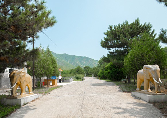 陵园道路